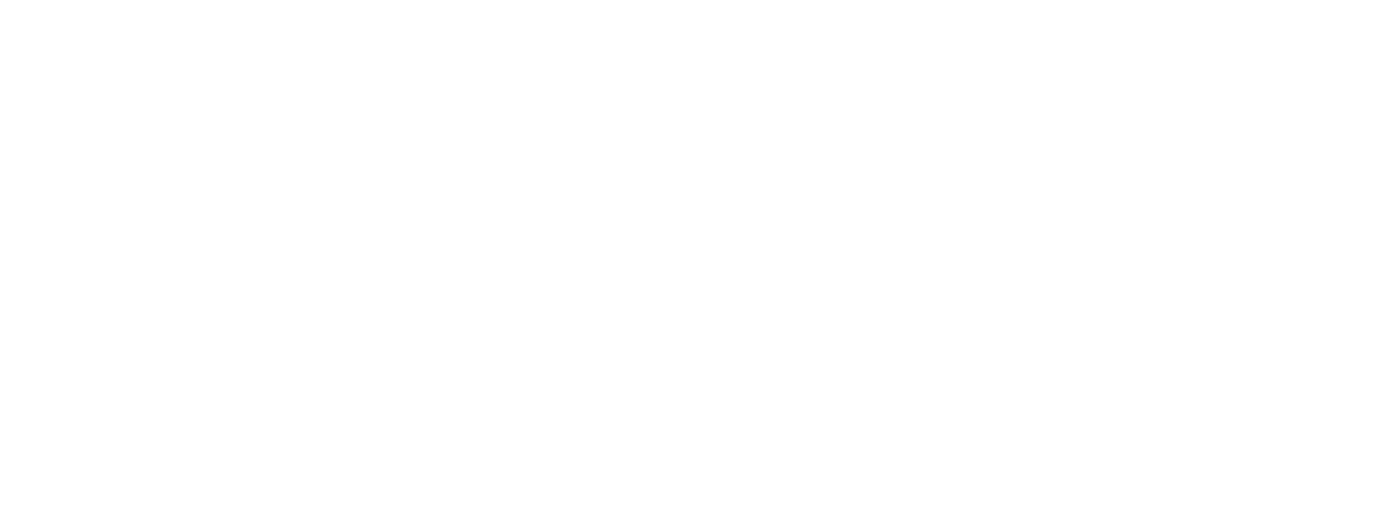 Líder Partner